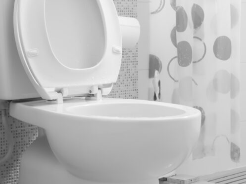 A toilet bowl in Tuscon, AZ